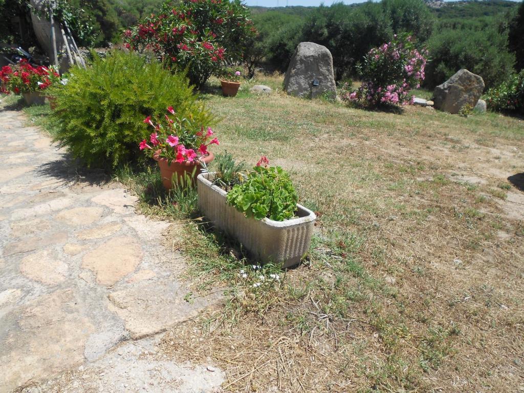 סנטה טרזה גאיורה B&B L' Incantu מראה חיצוני תמונה